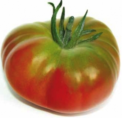 POMODORO MARMANDE NR.200 SEMI